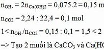 Co2 Hấp Thụ Vào Nước Vôi Trong