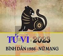 Hạn Tuổi Bính Dần Năm 2023